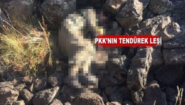 PKK'nın Tendürek sorumlusu Hakan Yeni öldürüldü, İşte leşi...