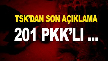 TSK'dan son açıklama: 201 PKK'lı öldürüldü