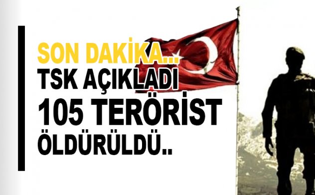 Son dakika: TSK: 105 PKK'lı terörist daha öldürüldü