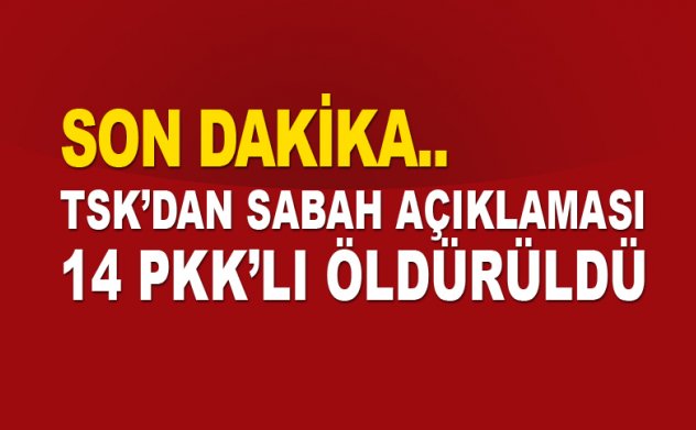 TSK'dan son dakika: 14 PKK'lı terörist öldürüldü