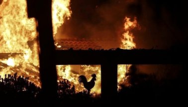 Yunanistan'da Yangın Faciası: 50 Ölü, 150'den Fazla Kişi Yaralı