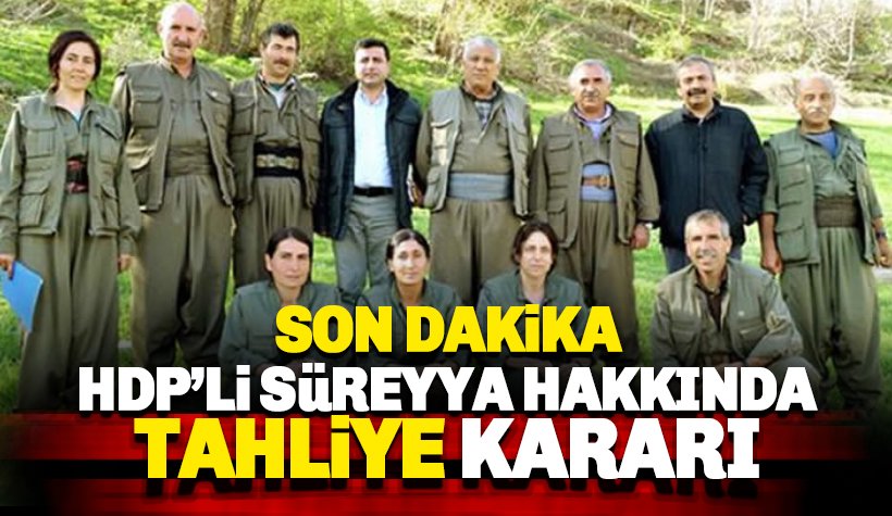 Son dakika: HDP'li Sırrı Süreyya Önder'e tahliye kararı