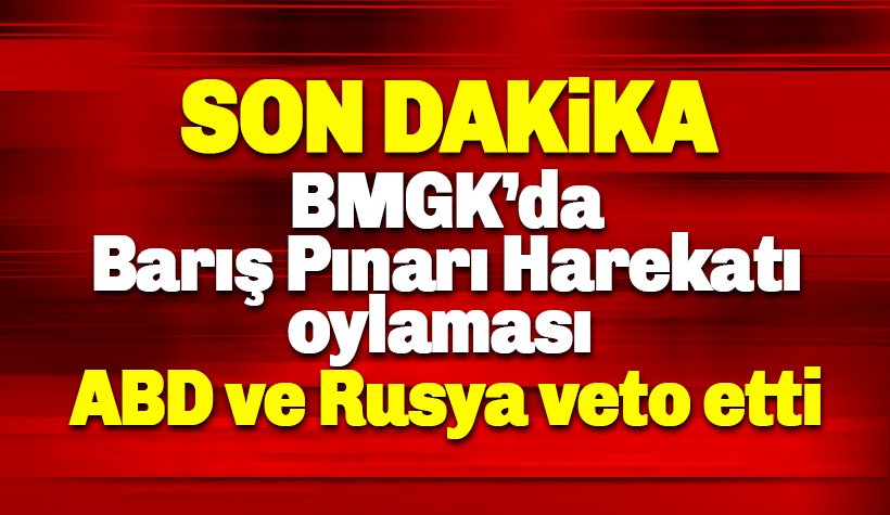 BMGK'da Barış Pınarı Harekatı oylaması: ABD ve Rusya veto etti
