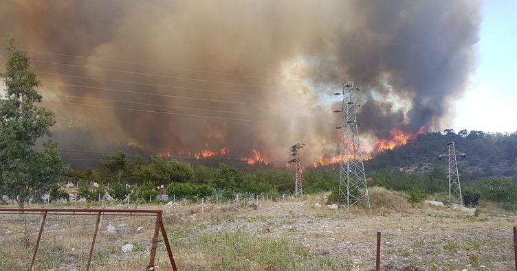 İzmir'de Orman Yangını Başladı