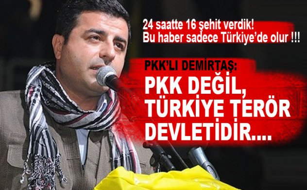 HDP'li Demirtaş: PKK değil, Türkiye terörist devlet