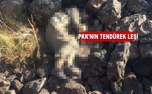 PKK'nın Tendürek sorumlusu Hakan Yeni öldürüldü, İşte leşi...