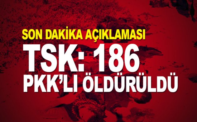 TSK'dan son açıklama: Çukurca'da 186 terörist öldürüldü