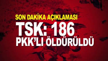 TSK'dan son açıklama: Çukurca'da 186 terörist öldürüldü