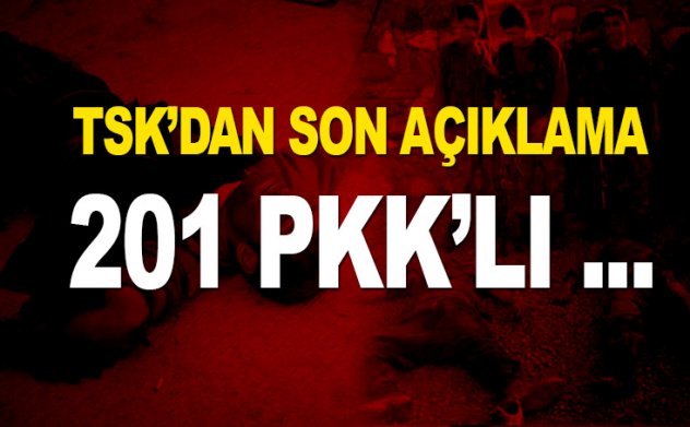 TSK'dan son açıklama: 201 PKK'lı öldürüldü
