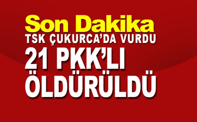 Son dakika: Hakkari Çukurca'da 21 terörist öldürüldü