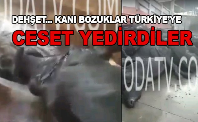 Türkiye'ye kokuşmuş ceset yedirdiler. Kimsenin sesi çıkmadı!