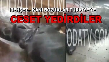 Türkiye'ye kokuşmuş ceset yedirdiler. Kimsenin sesi çıkmadı!