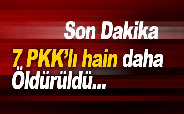 Mardin Savur'da 7 PKK terörist daha öldürüldü