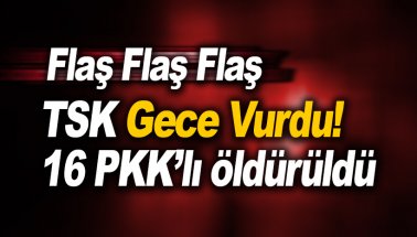TSK'dan operasyon: 16 terörist öldürüldü. Gri ve yeşil listedeydiler