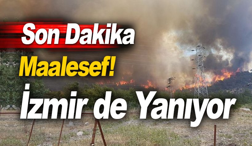 İzmir'de orman yangını! Elektrik ve sular yangın nedeniyle kesildi