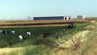 Son dakika: Diyarbakır'da alçak tuzak.. 2 şehit