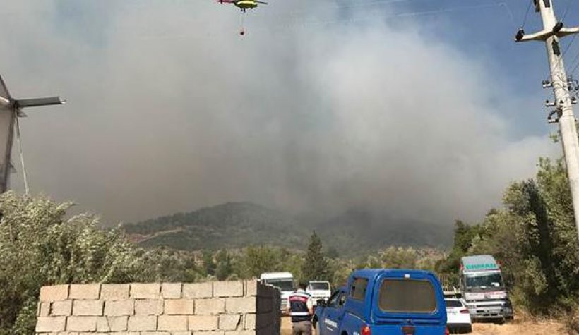 Son dakika: Antalya Aksu'da orman yanıyor