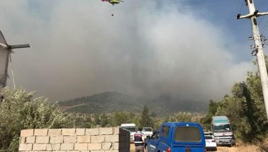 Son dakika: Antalya Aksu'da orman yanıyor