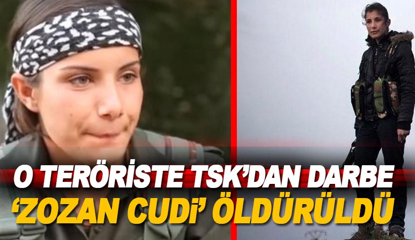 Şırnak'ta, Suriyeli PKK'lı terörist Zozan Temir de öldürüldü