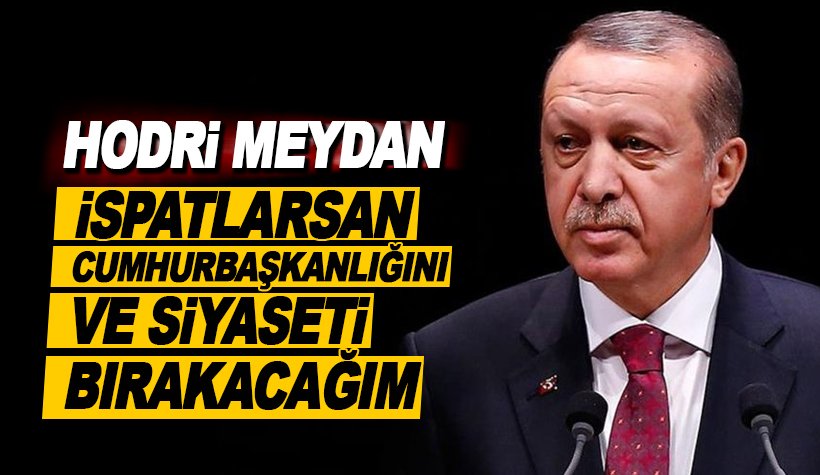 Cumhurbaşkanı Erdoğan, Hodri meydan, İspatla istifa edeceğim