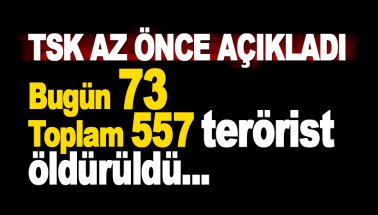 TSK'dan güncel haber: Bugün 73, toplamda 557 terörist öldürüldü