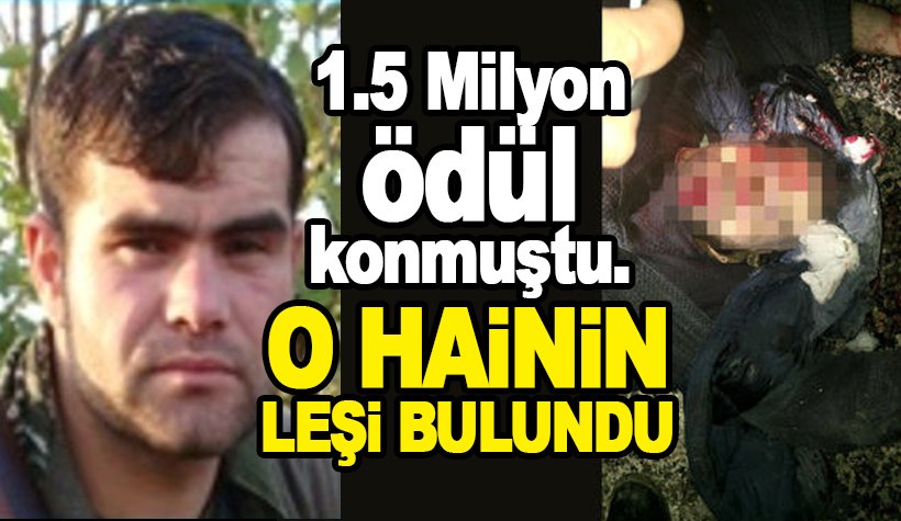 Son dakika: Terörist Murat Üçer ve 4 PKK'lının ölüsü ele geçirildi