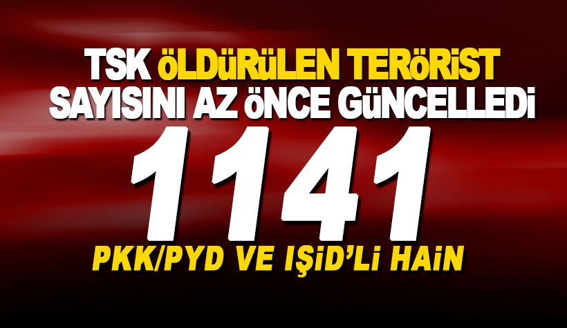 TSK, Zeytin Dalı'da öldürülen terörist sayısını açıkladı: 1141