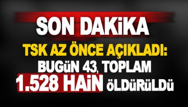 Son dakika TSK duyurdu: Bugün 43, toplamda 1528 terörist öldürüldü