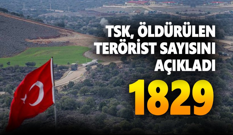 TSK: Zeytin Dalı Harekatı'nda toplam 1829 terörist öldürüldü