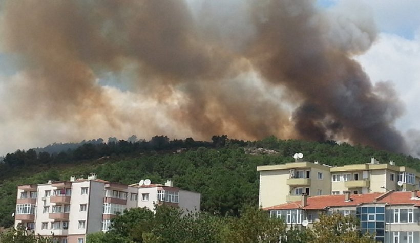 Son dakika: İstanbul Aydos Ormanı'nda yangın çıktı