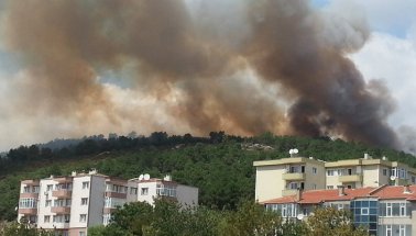 Son dakika: İstanbul Aydos Ormanı'nda yangın çıktı