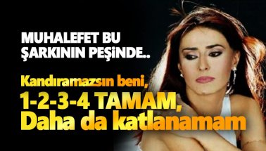 Muhalefet bu şarkının peşinde: 1-2-3-4 TAMAM, daha da katlanamam