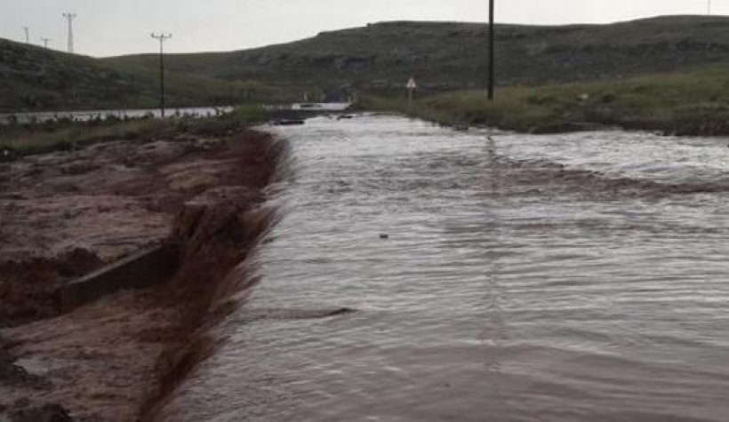 Şanlıurfa'da sağanak yağış afeti: Çok sayıda evi su bastı