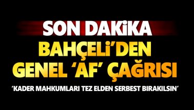 Bahçeli'den 'genel af'  önerisi: Kader mahkumları serbest bırakılsın