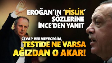 Erdoğan'ın 'pislik' sözlerine İnce'den yanıt: Testide ne varsa...