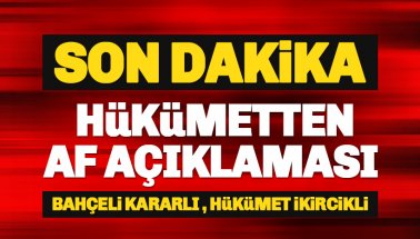 Hükümetten bir af açıklaması daha! AF, seçim ve oy kozu mu!