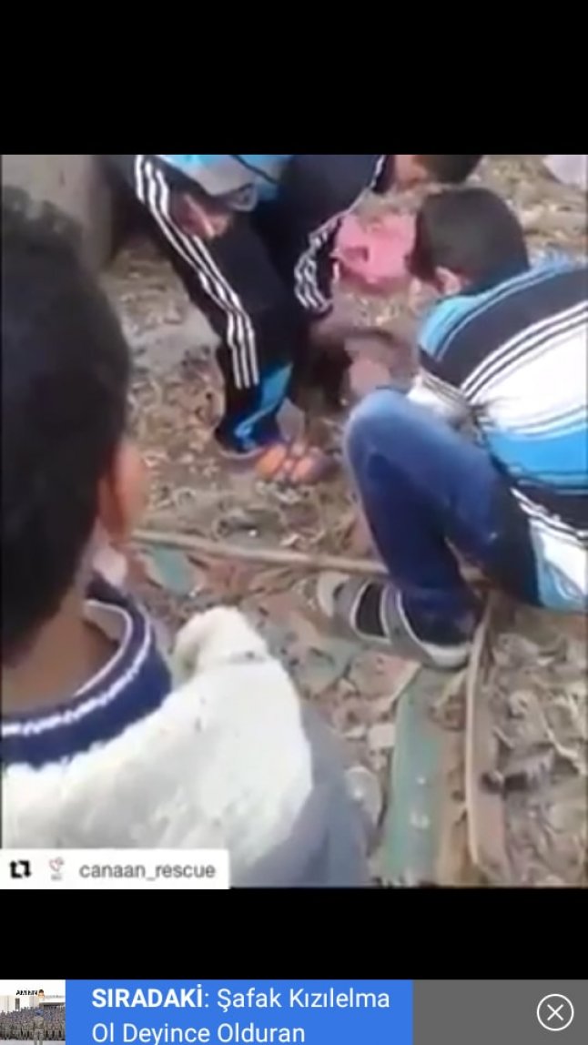 onlarca kompres çekici  Sapanca vahşetinde korkunç iddia: Suriyeli çocuklar mı kesti