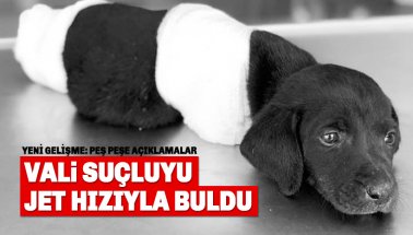 Vali, Sapanca vahşetinin suçlusunu jet hızıyla buldu