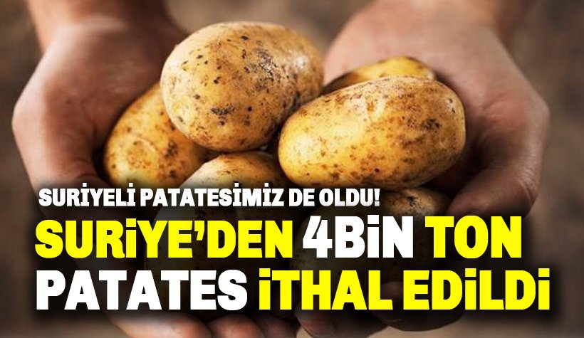 Son dakika: Suriye'den 4 bin ton patates ithal edildi!