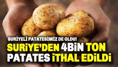 Son dakika: Suriye'den 4 bin ton patates ithal edildi!