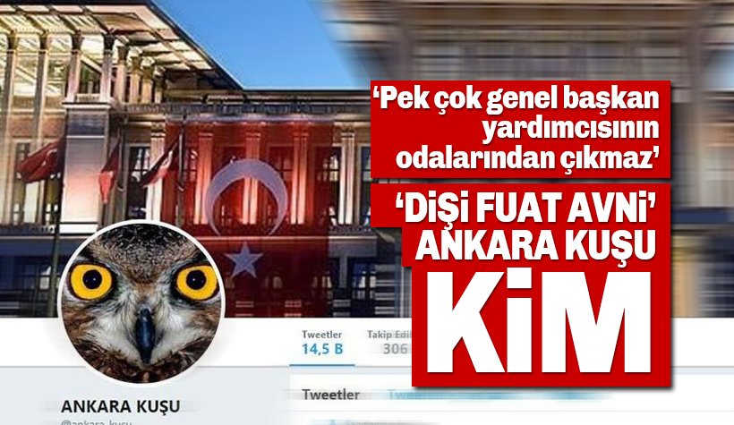 Gökçek'in gündemindeki 'Ankara Kuşu' kim? Dişi Fuat Avni, Meclis gündeminde