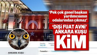 Gökçek'in gündemindeki 'Ankara Kuşu' kim? Dişi Fuat Avni, Meclis gündeminde