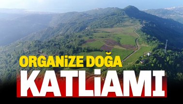 Trabzon'da Organize Doğa Katliamı