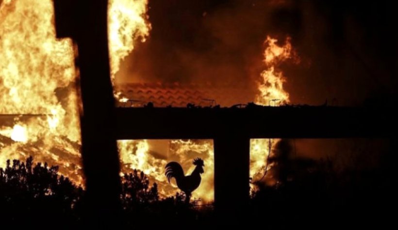 Yunanistan'da Yangın Faciası: 50 Ölü, 150'den Fazla Kişi Yaralı