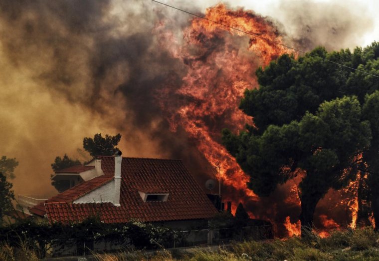 Yunanistan'daki yangın için 'insanlık dışı' yorumlar