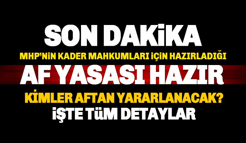 Son dakika: MHP'nin genel af teklifi belli oldu: İşte maddeler