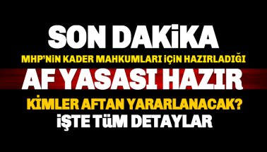 Son dakika: MHP'nin genel af teklifi belli oldu: İşte maddeler