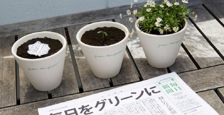 Japon medya devi Mainichi gazetesi, toprağa ekilince çiçek açıyor
