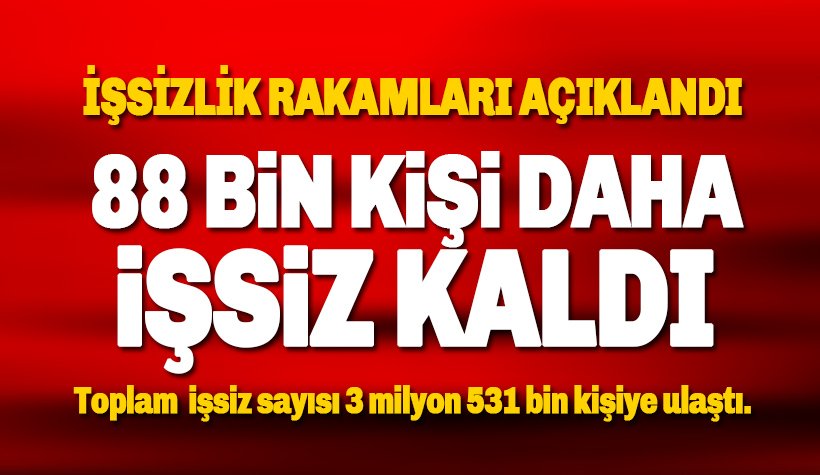 İşsizlik rakamları açıklandı! İşsizler ordusuna 88 bin kişi daha eklendi