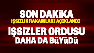 Son dakika: İşsizlik Rakamları açıklandı: İşsizler ordusu büyüyor..